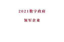 数字政府领军企业