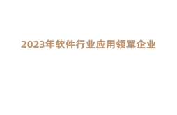 软件行业应用领军企业